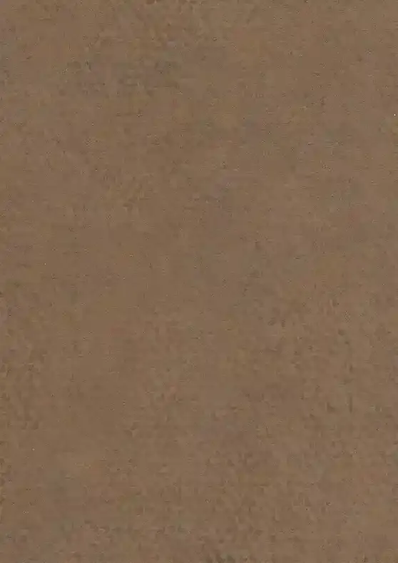 F323 ST20 Кобра бронза