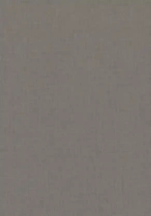 F433 ST10 Лён антрацит