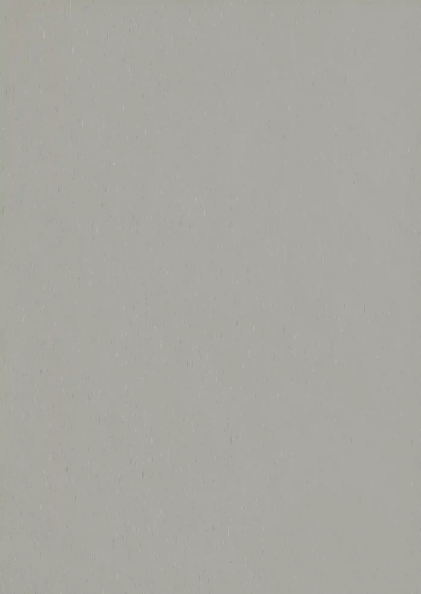 F765 ST20 Серебристый матовый