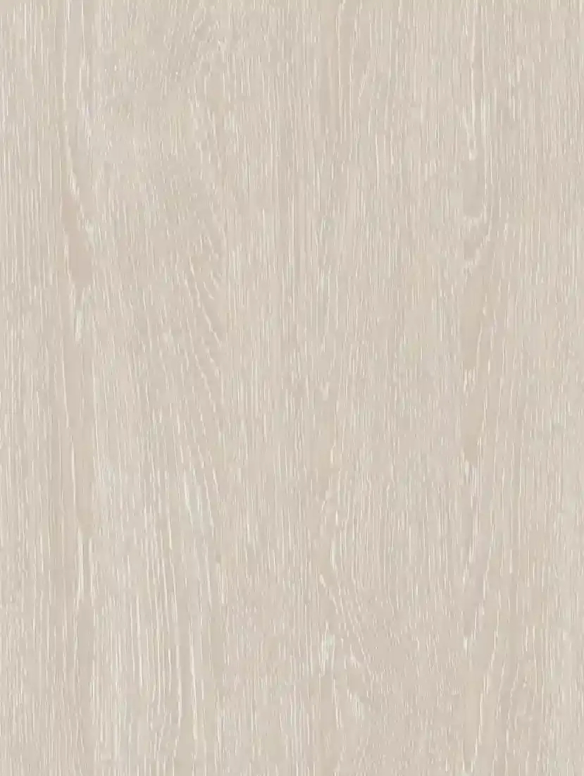 Дуб Атланта