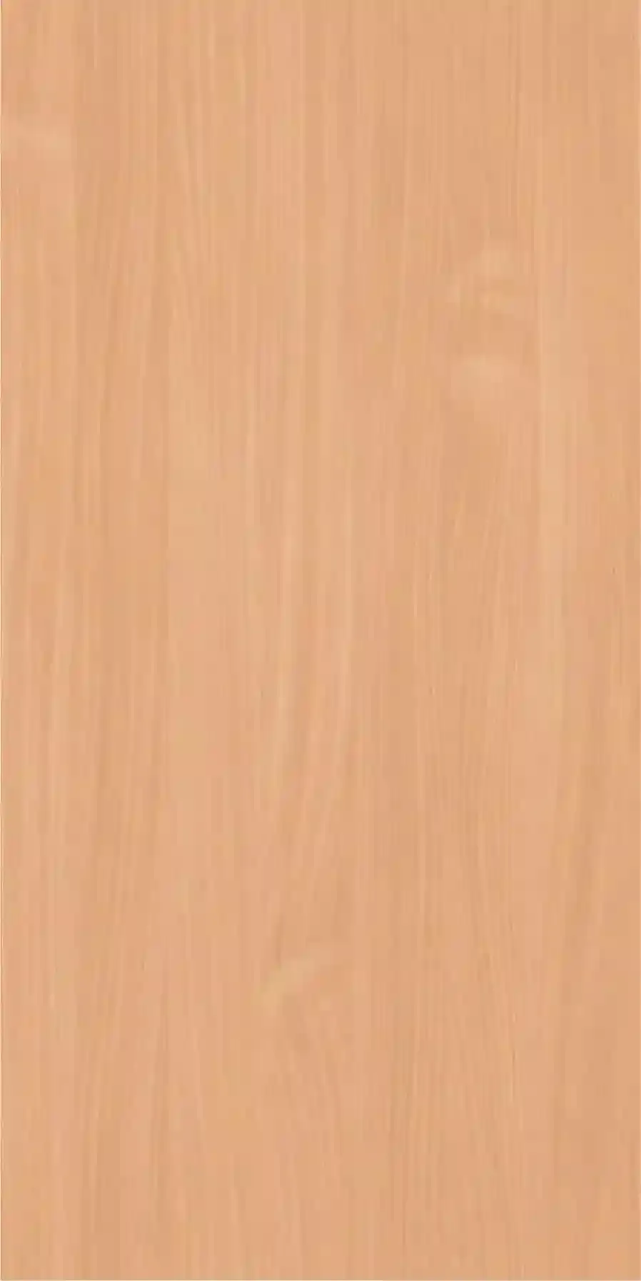 Бук Бавария Светлый