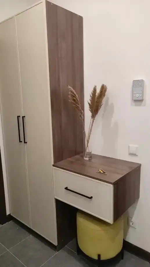 Шкаф из ЛДСП на заказ, фото №2